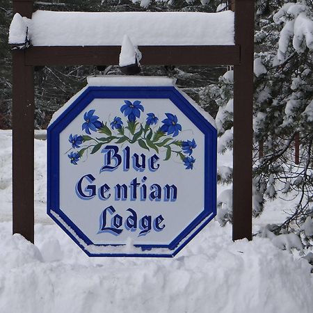 Blue Gentian Lodge At Magic Mountain Londonderry Exterior photo