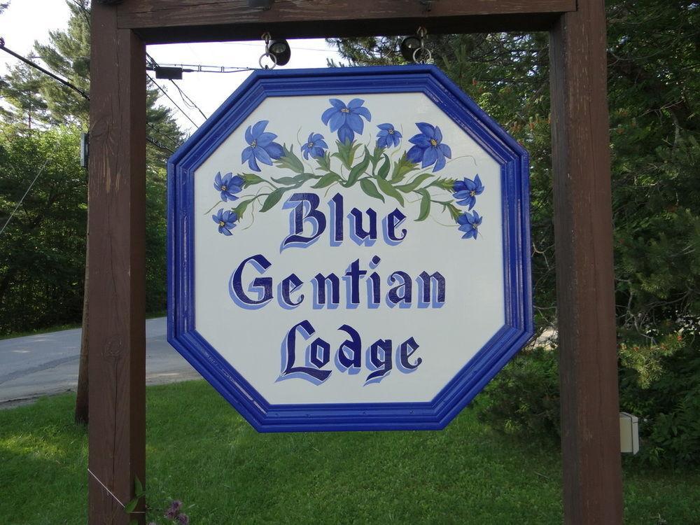 Blue Gentian Lodge At Magic Mountain Londonderry Exterior photo