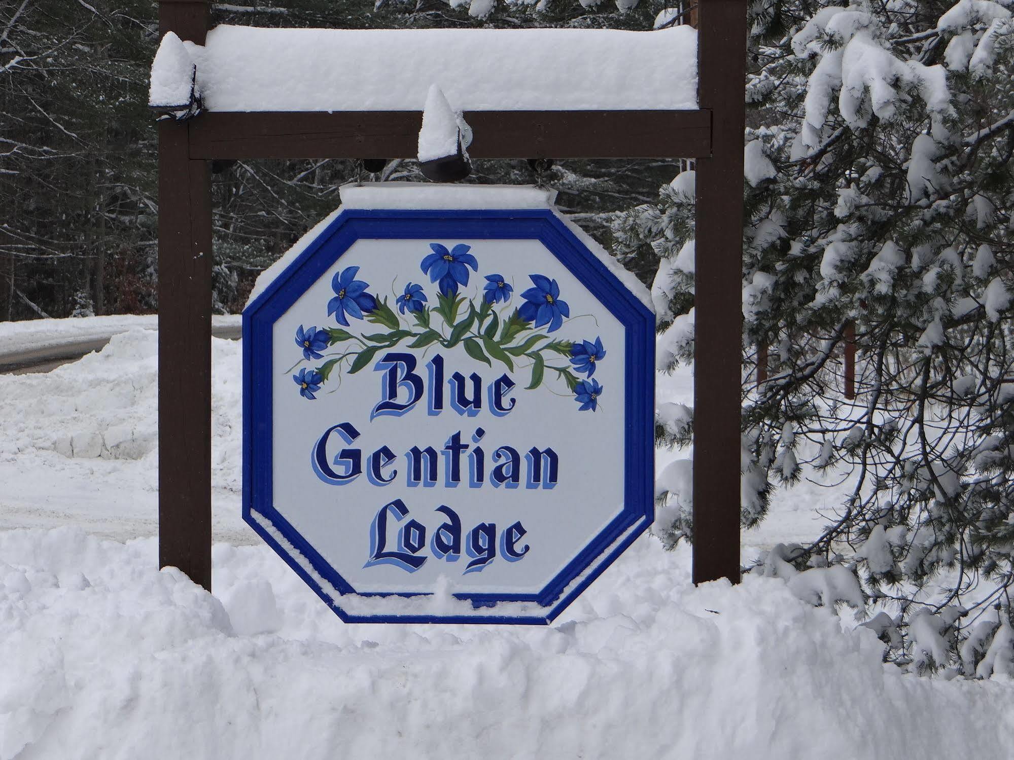 Blue Gentian Lodge At Magic Mountain Londonderry Exterior photo