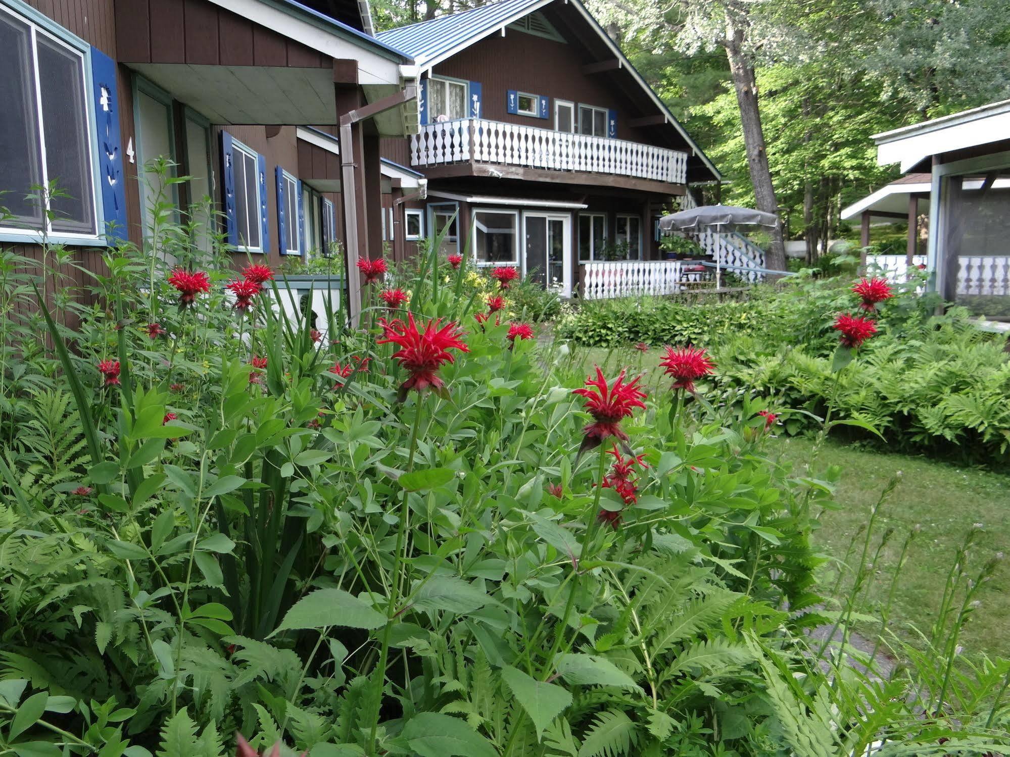 Blue Gentian Lodge At Magic Mountain Londonderry Exterior photo